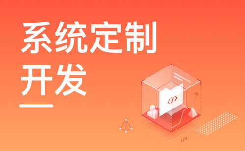 北京erp系统开发 专业erp开发公司